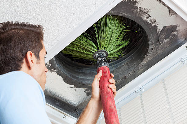 Air Duct Mold Removal in Temple Hills, MD